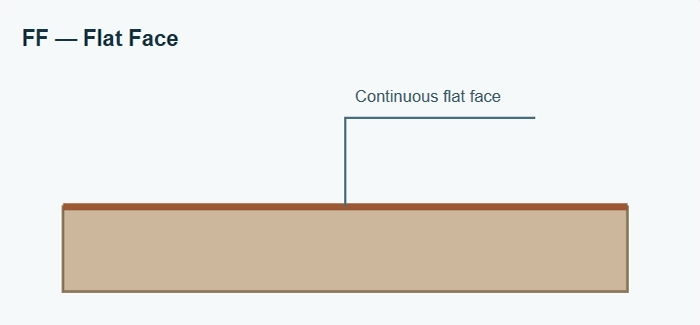 Simplified cross-section of a flat face copper nickel blind flange