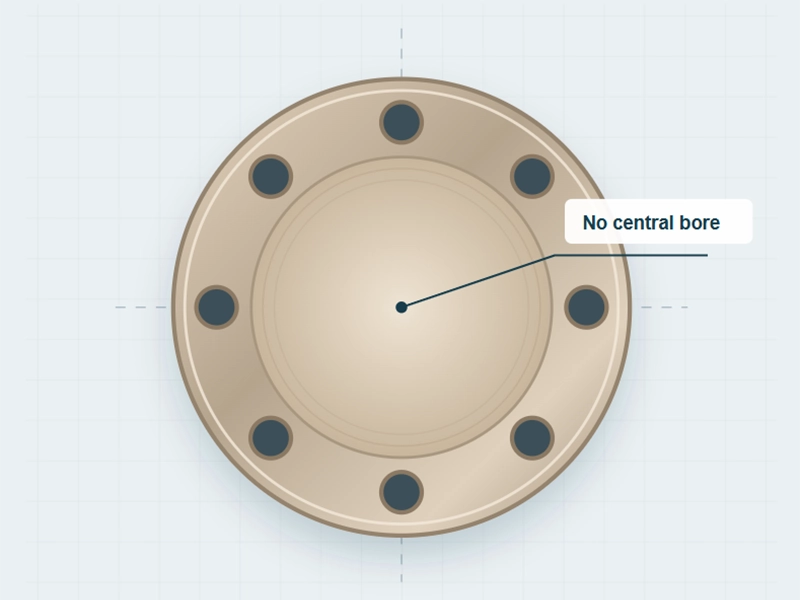 FF Copper Nickel Blind Flange